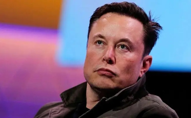 How Much Does Elon Musk Lose Per Day?