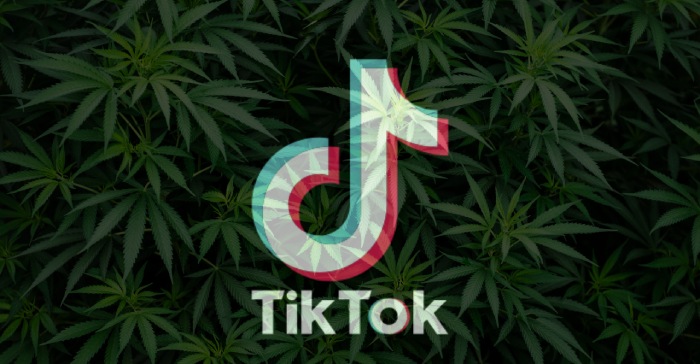 Be Always Careful About TikTok