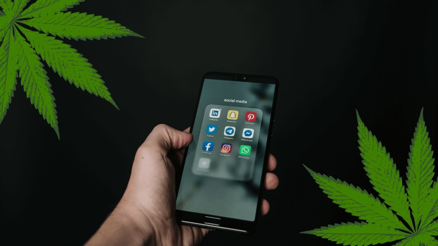 Cannabis Business Social Network