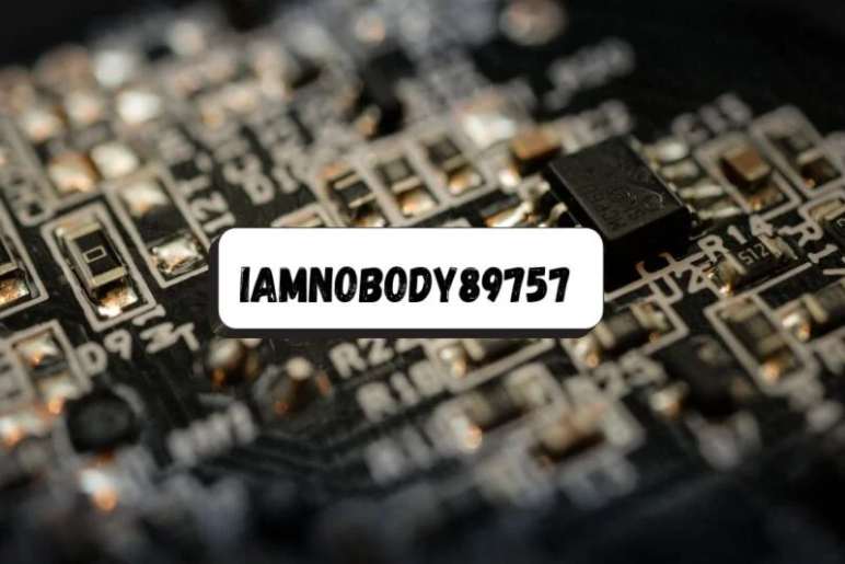 Iamnobody89757