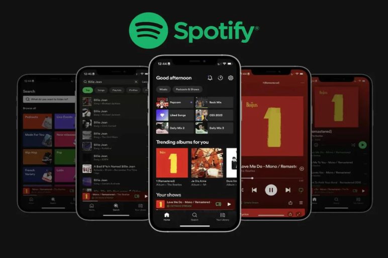 You can Get The Lyrics From Your Spotify Mobile Application